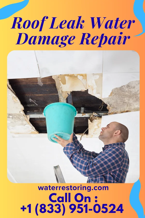 Roof Leak Water Damage Repair in Cortland, OH