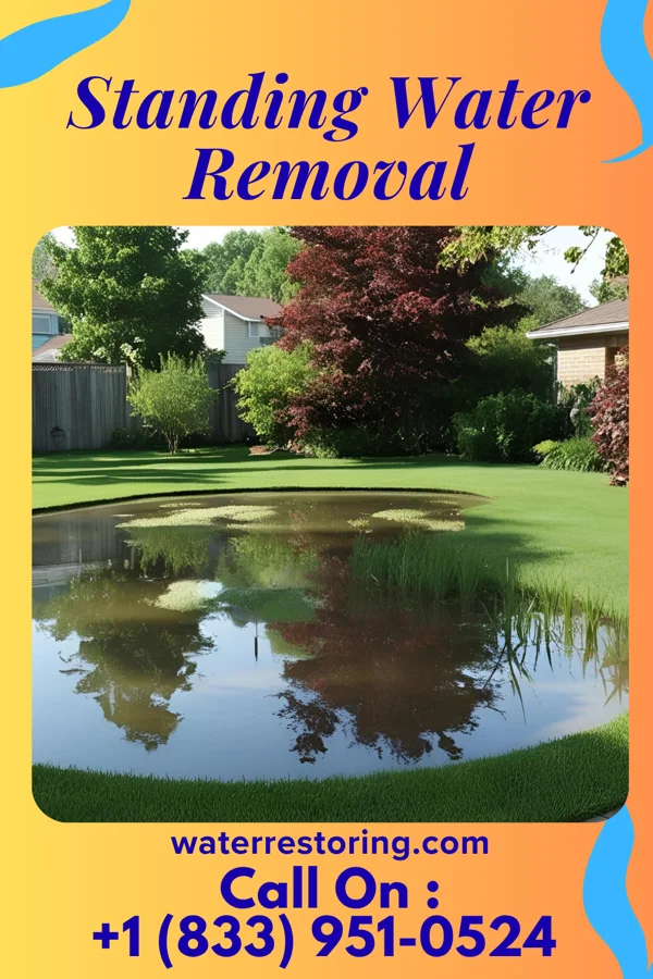 Standing Water Removal in Cortland, OH